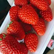 いちご大福の画像