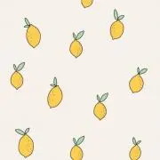 ありの画像