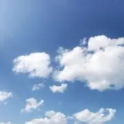 一の画像