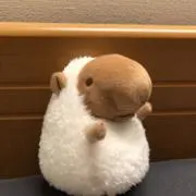 さかとの画像