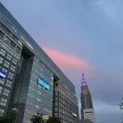 バラ 基本24時間内匿名発送の画像