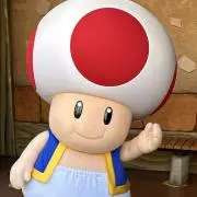 ゆきぐにまいたけの画像