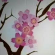⭐️サクラサク⭐️