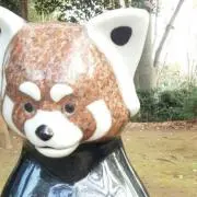 あや