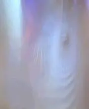 sgmの画像