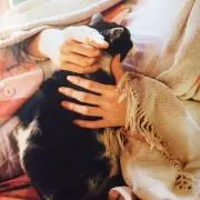 riiの画像