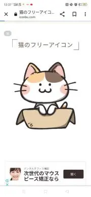まろん【同梱150円引き】の画像