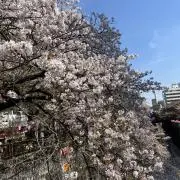 えんぴつの画像