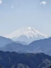 銀鮭