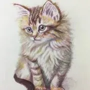 しかちゃんshop@フォロ割有、値下可の画像