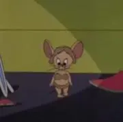 Y