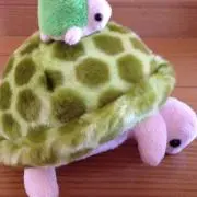 QUESTの画像