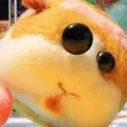 みの画像
