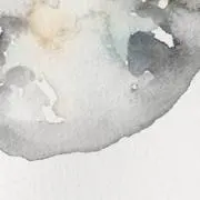 enokiの画像
