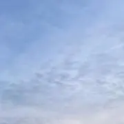くう