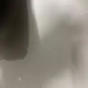 Fadeの画像