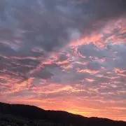 きのこの画像