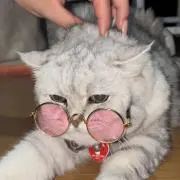 値下げ交渉⭕️にゃにゃの画像