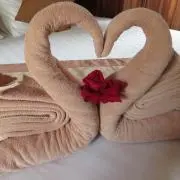 みーぽん