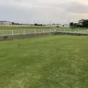 しーばふの画像