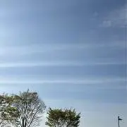 れいの画像