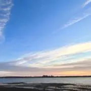 Aiの画像