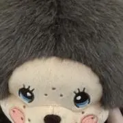 ynの画像