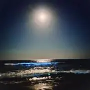 Carllyの画像