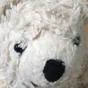 くまっちの画像