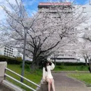 ひまわり~
