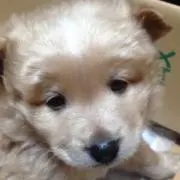 もこの画像