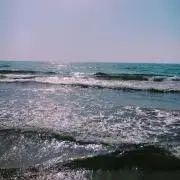 ごり