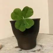 福