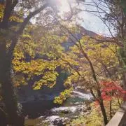るいの画像