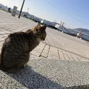 やきとり