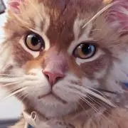 メリンダの画像