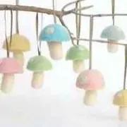teeeed