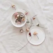 あにの画像