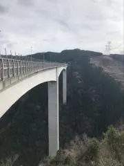 ソアラの画像