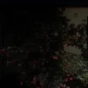 な