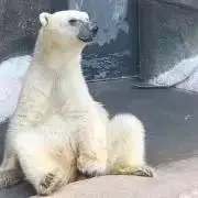 ネオパル　値引き交渉◎の画像