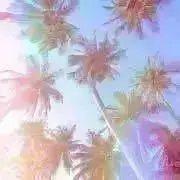 はなの画像
