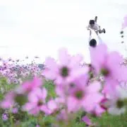 とよだ　ゆかり