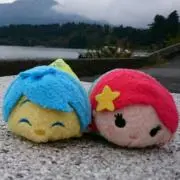 チョコ☆