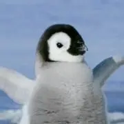 zoo