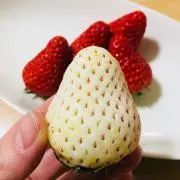 ゆみィ
