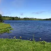 たこやきの画像