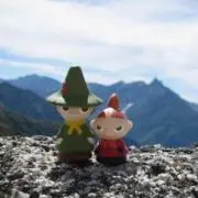 緑茶