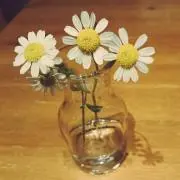 sososo12の画像