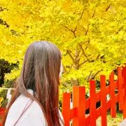 からからの画像
